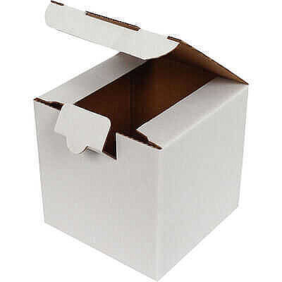 12x10x10.5 cm White Locking Box - 0.4 Desi Box - 1