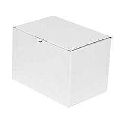 18x13x15.5 cm White Locking Box - 1 Desi Box - Kutu