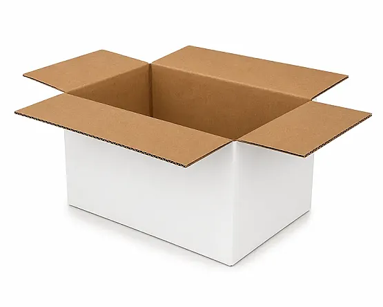 20x10x10cm Koli - 0,7 Desi Koli - Tek Oluklu Koli - Beyaz - 2