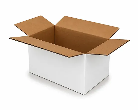 20x10x10cm Koli - 0,7 Desi Koli - Tek Oluklu Koli - Beyaz - 1
