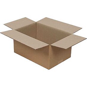 20x12x11 cm Double Wall Testliner Box - Kolici