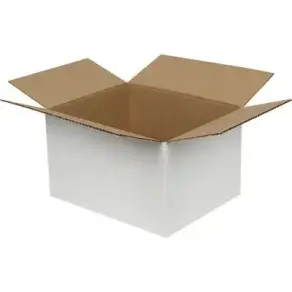 21*12*14cm Single Corrugated Box -White - Kolici (1)