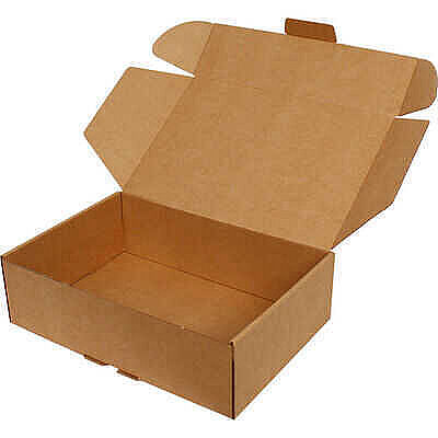 28x19x6 cm Kraft Lock Box - 1 Desi Box - 1